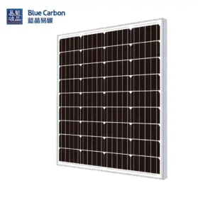 Panel Surya Monocrystalline 95 WP