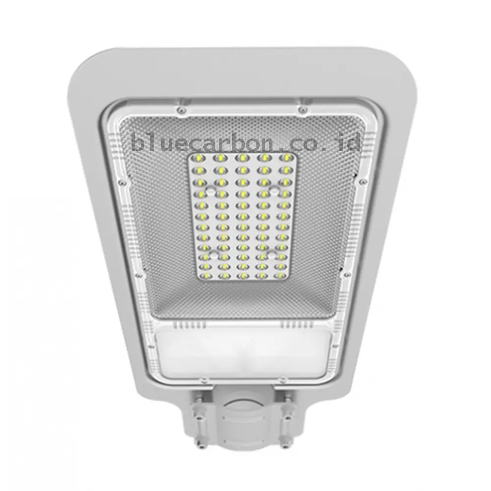 Lampu Jalan Blue Carbon Blue Sky 50W